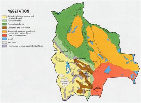 Vegetation Map, Bolivia