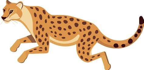 Cheetah Clipart Vector Art, Icons, and Graphics for Free Download