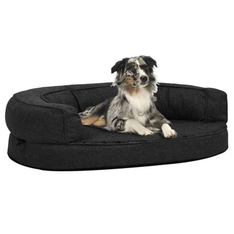 Dbaiyi Ddis Matelas De Lit Ergonomique Pour Chien X Cm Aspect De