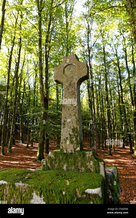 France Correze Parc Naturel Regional De Millevaches En Limousin