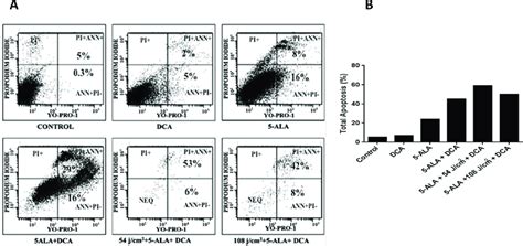 Flow Cytometry Analysis Of Apoptotic Cells Mcf 7 Cells Were Cultured