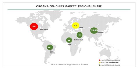 Organs On Chips Market Demand Growth Ooc Market Size And Share By 2028