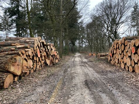 Adriaan Visser On Twitter Rt Rijswijkjan Een Triest