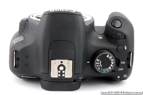 Обзор Canon EOS 1200D | Радожива