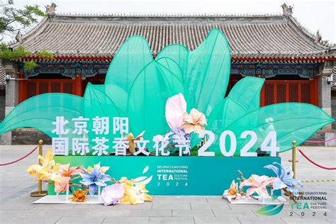 2024北京朝阳国际茶香文化节启动 市民游客国际友人共品茶香