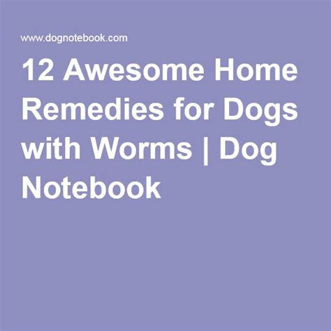 12 Awesome Home Remedies For Dogs With Worms Home Remedies Worms In