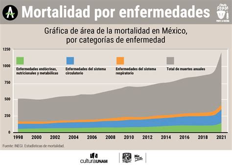 En 2020 Se ‘dispararon 18 Las Muertes Por Males Distintos A Covid 19