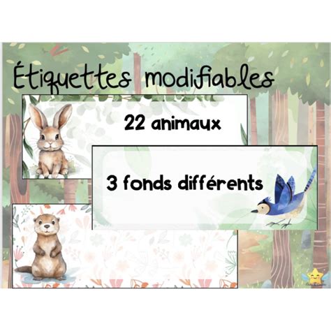 Tiquettes Modifiables For T