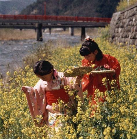 もちがせ流しびな 鳥取県 【japan 47 Go】