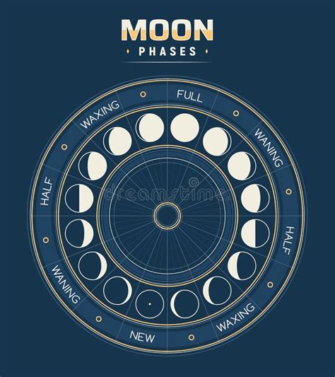 Moon Phases Vector Calendar Of Lunar Cycles Stock Vector