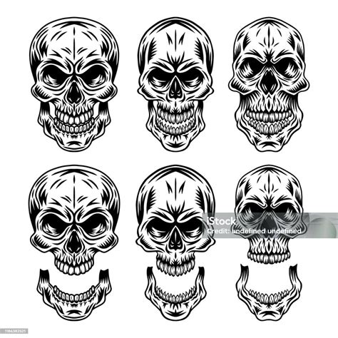 Set Of Vintage Retro Human Skull And Jaw Isolated Vector Illustration On A White Background