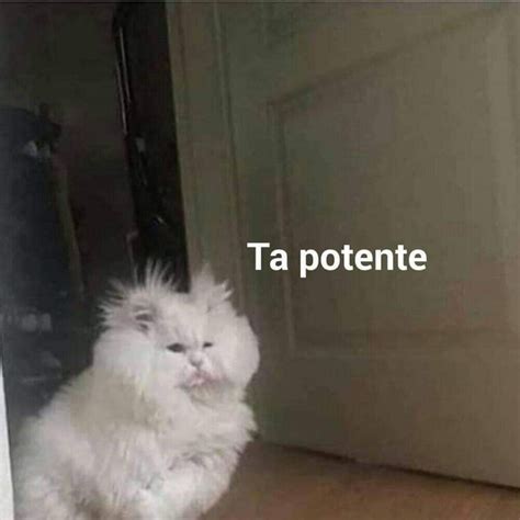 Ta Potente Memes Lindos Memes Memes Graciosos