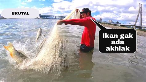 Edyaaan Rejeki Jala Ikan Di Sungai Di Saat Angin Kencang Tidak Di