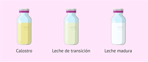 Calostro leche de transición y leche madura