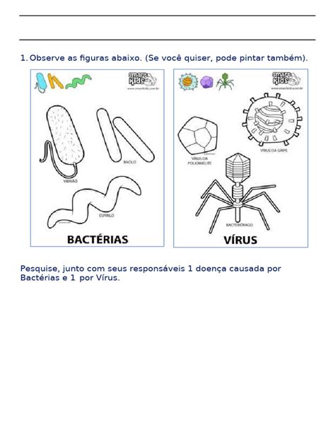 Atividade Sobre Virus E Bacterias 4 Ano