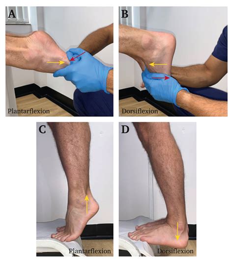 The Importance Of Patient Position When Defining Normal Versus