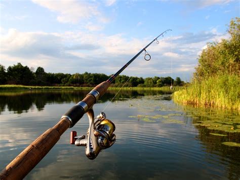 Fishing in Lanarkshire | Activities | What's On Lanarkshire