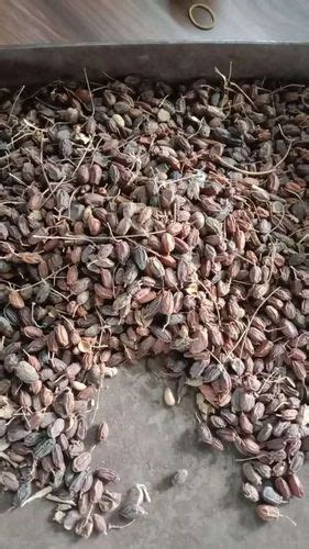 Dried Organic Herbs Neem Seed For Agriculture Packaging Size 50 Kgs