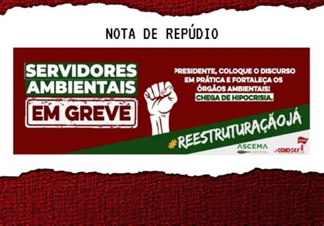 Servidores Em Greve Repudiam Postura Do Presidente Do Ibama Em Adiar