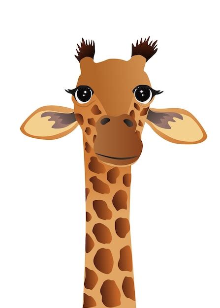 Premium Vector Giraffe Vector Illustration Graphic Design