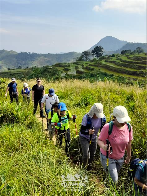 Petualangan Hiking Dan Trekking Di Kawasan Sentul Aman Untuk Pemula