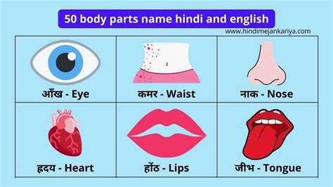 10 Body Parts Name Hindi and English | शरीर के अंगों के नाम - Hindi Me ...