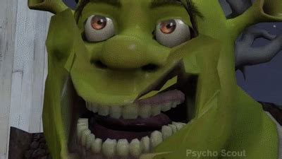 Shrek Wallpapers Infoupdate Org