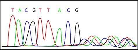 Next Generation Sequencing Forensic Applications And Policy