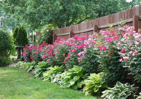 10 Beautiful and Cheap Garden Fence Ideas for Privacy - Green Gold ...