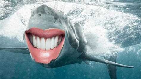 Sharks with Human Teeth