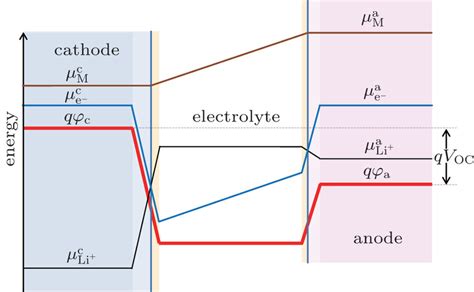 Chemical Potentials Of The The Neutral Mobile Component M Mobile