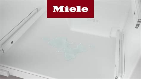 Miele R Frig Rateur Nettoyage Du Canal De Condensation Et De L