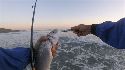 Spinning Desde Playa Con Señuelos Spanish Lures Youtube