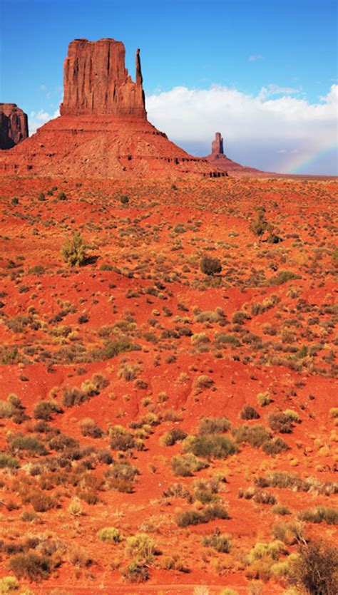 Desert Mountains Backdrop Photo Pie