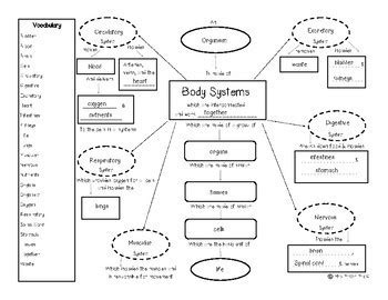 Human Body Systems Concept Map United States Map