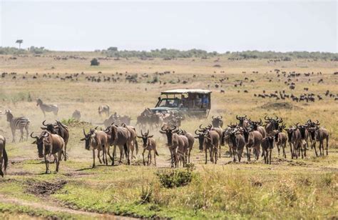 12 Days Luxury Kenya Safari And Beach Package