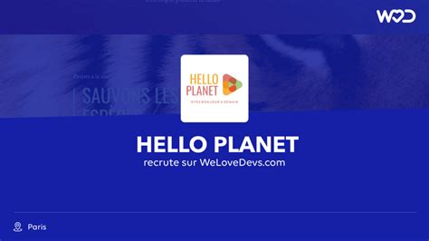 Developer At Hello Planet Jobs And Salaries Welovedevs