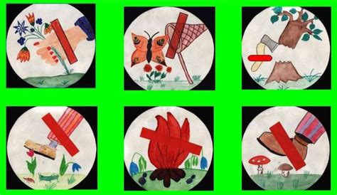 Правила поведения в лесу в картинках для дошкольников