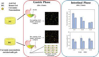 富集姜黄素 纳米乳液的乳蛋白基质的体外消化凝胶结构类型对姜黄素生物可及性的影响 Food Hydrocolloids X MOL