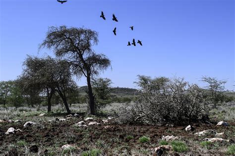 Livelihoods lost as climate disaster woes mount in Kenya