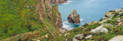 Senderismo Por El Parque Natural De Sintra Cascais Desde Cascais