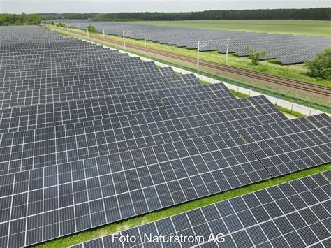 Naturstrom Nimmt Mw Solarpark Im Spreewald In Betrieb Solarserver