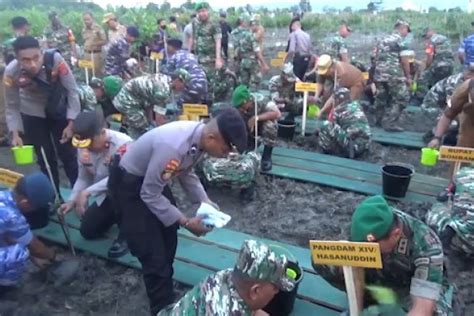 Tni Polri Tanam Bibit Mangrove Di Teluk Kendari Antara News