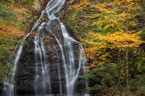 North America Nature Photography Tours & Workshops — Slonina Nature