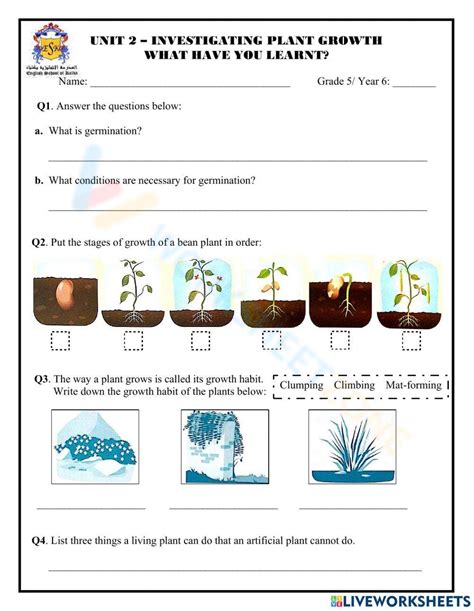 Seed Germination For Kids Worksheet