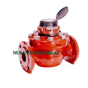 Water Meter Sensus Ws Dynamic Hot Water Size 3 Inch DN 80mm