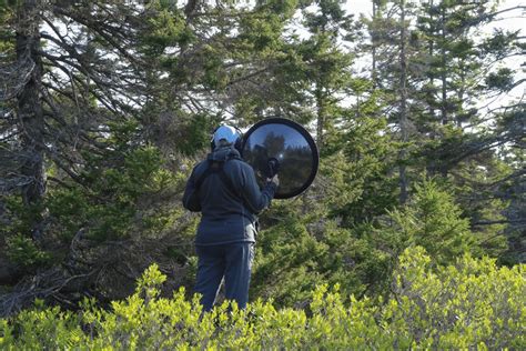 Acadia is home to more than 300 bird species. Climate change adds ...