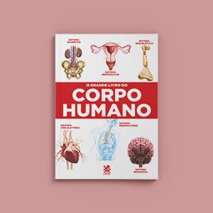 O Grande Livro Do Corpo Humano Amazon Br