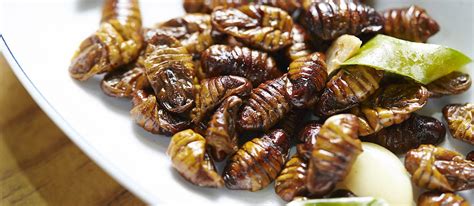 Beondegi | Traditional Insect Dish From South Korea