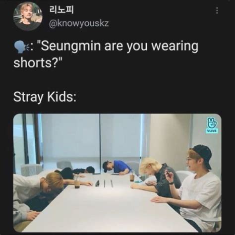 Stray kids / Skz meme | Crazy kids, Silly kids, Kid memes